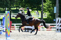 HSM_8748