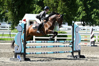 HSM_2263