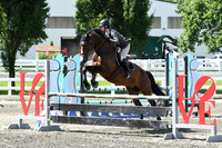 HSM_2267