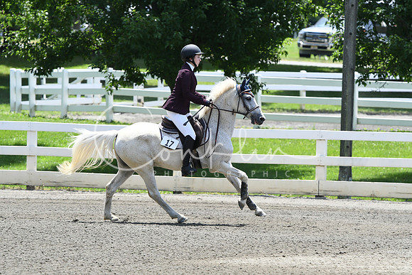 HSM_2854