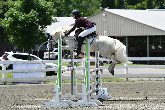 HSM_2861