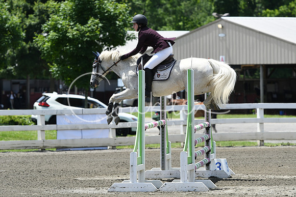 HSM_2862