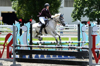 HSM_2872