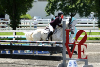 HSM_2878
