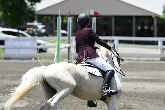 HSM_2906