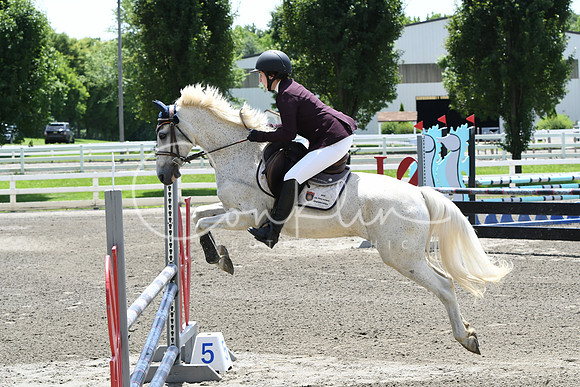 HSM_2910