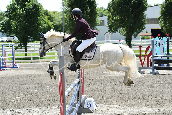HSM_2911