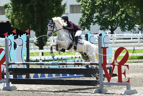 HSM_2920