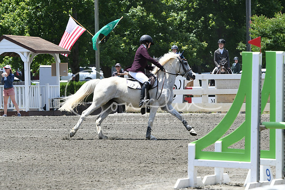 HSM_2971