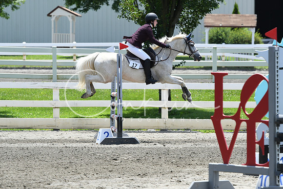 HSM_2977