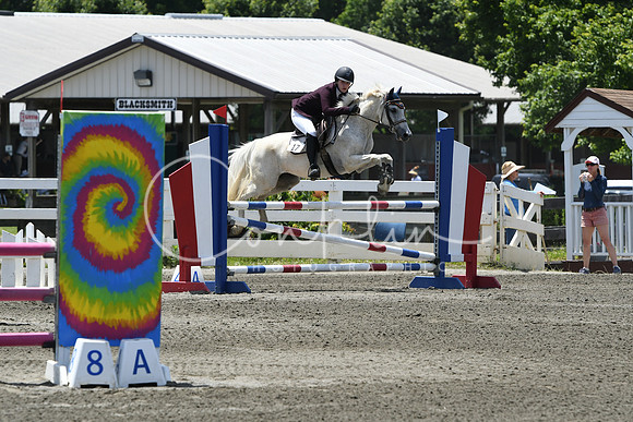 HSM_2979