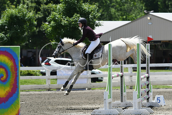 HSM_2982