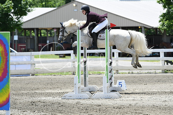 HSM_2993