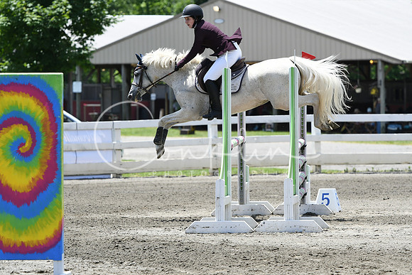 HSM_2994
