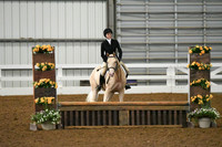 HSM_6513