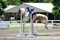 HSM_2931