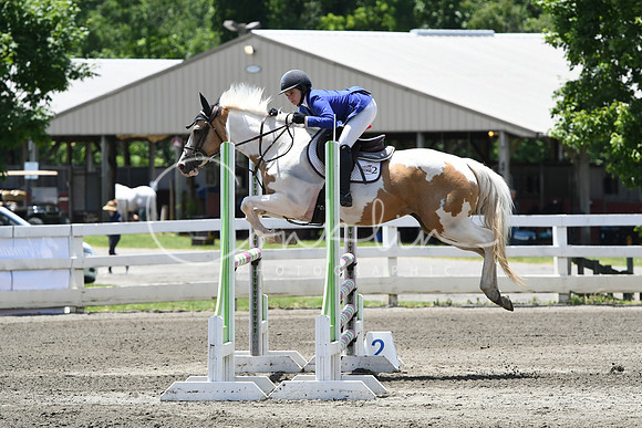 HSM_2931