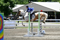 HSM_2932