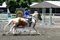 HSM_2933