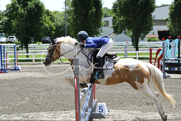 HSM_2938