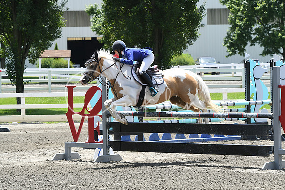 HSM_2946