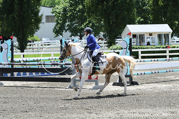 HSM_3009