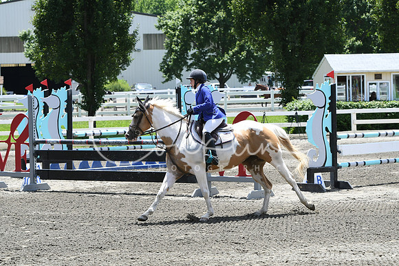 HSM_3010