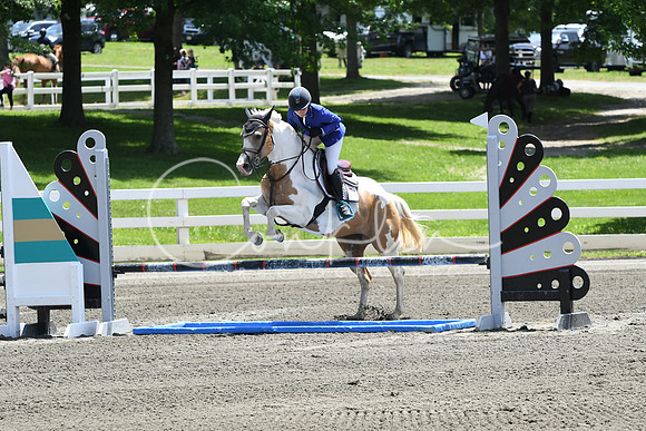HSM_3017