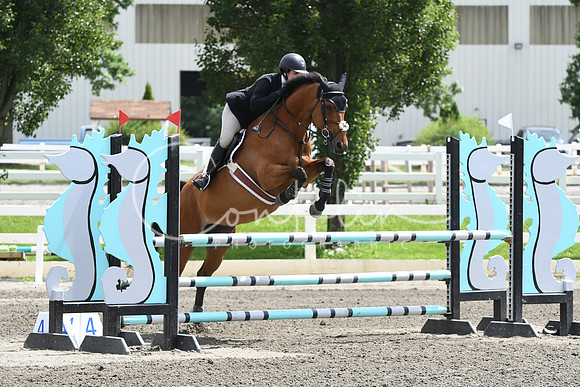 HSM_5346