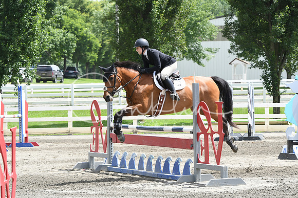HSM_5351