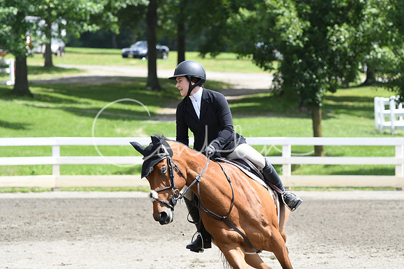 HSM_5352