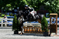 HSM_1333