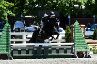 HSM_1336