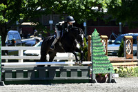 HSM_1337