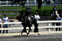 HSM_1345