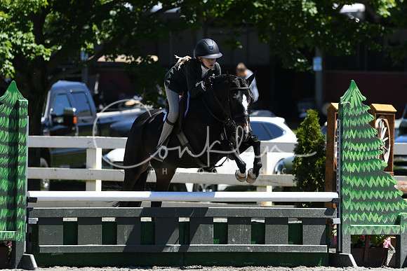 HSM_1398