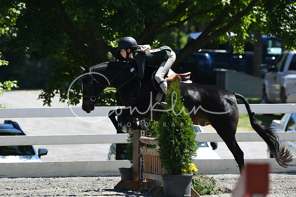 HSM_1401