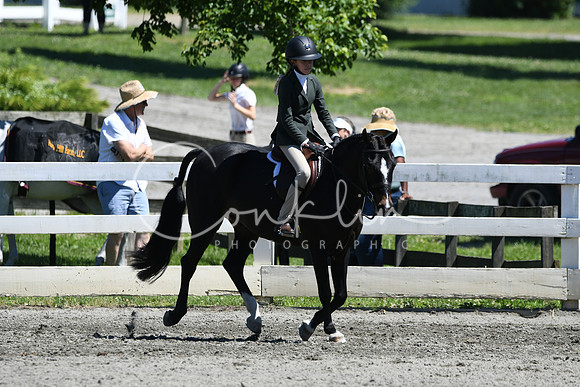 HSM_1443