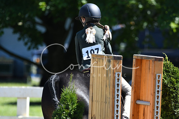 HSM_1446