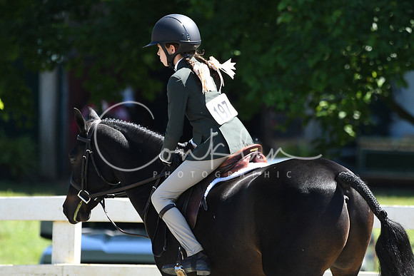 HSM_1447