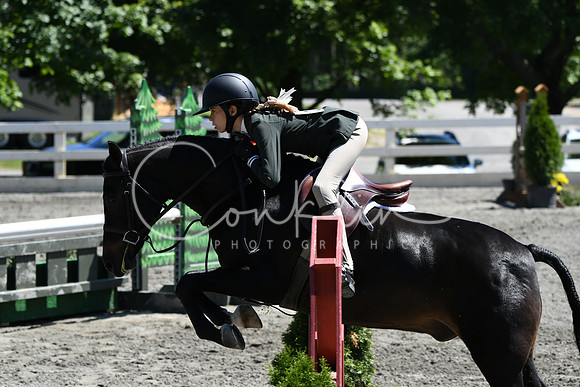HSM_1451