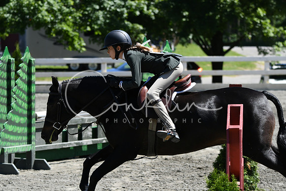 HSM_1452