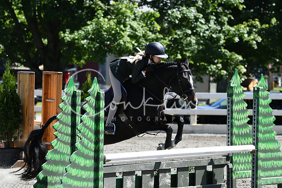HSM_1453