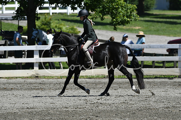 HSM_1458