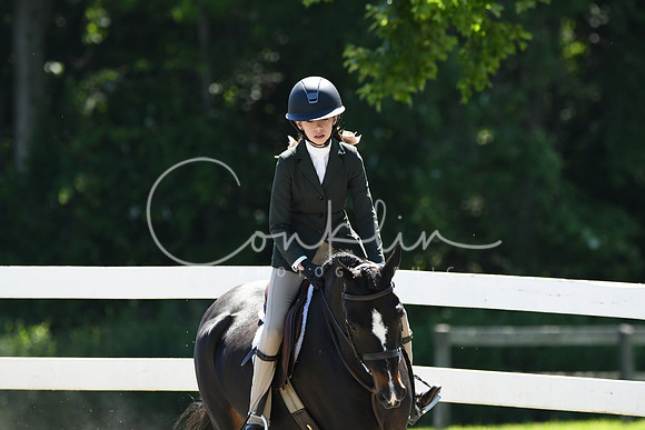 HSM_1508