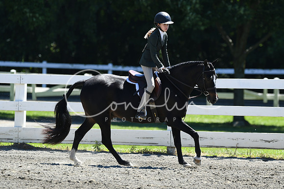 HSM_1509