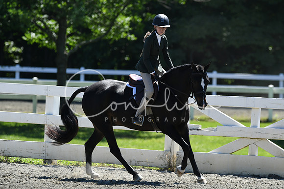HSM_1511