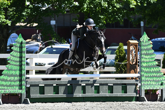 HSM_1515