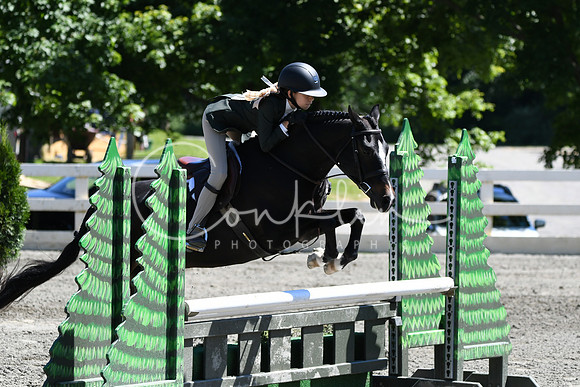 HSM_1517