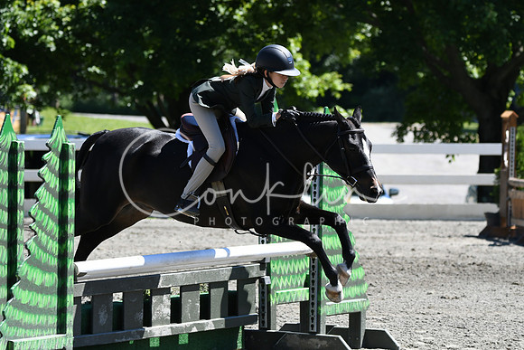 HSM_1518